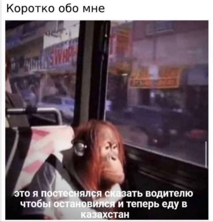 � ���� ����