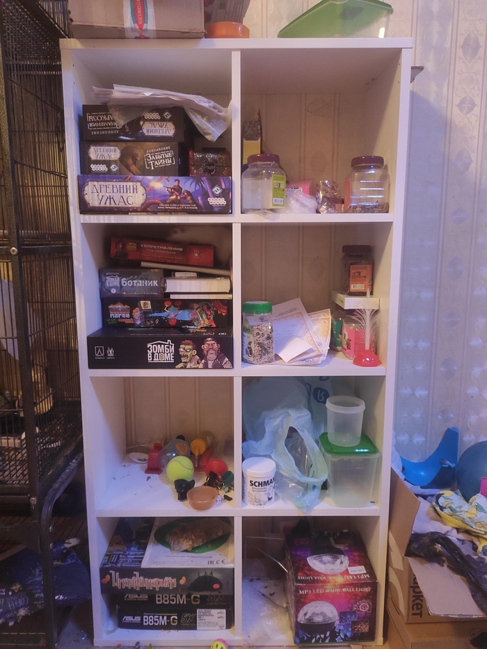 Найдите крысу