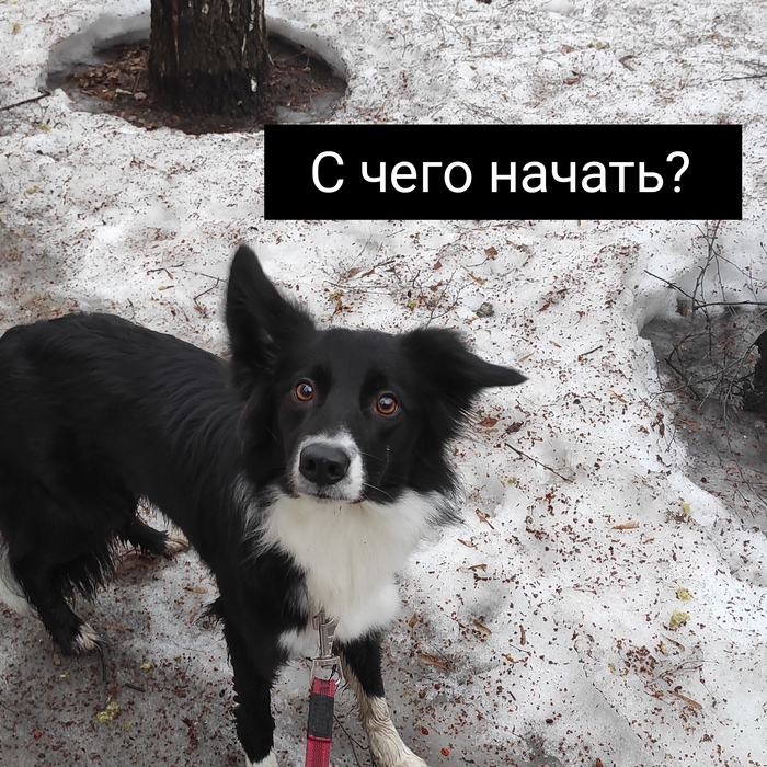 Давайте познакомимся)