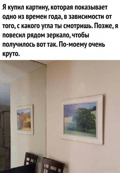 Необычно | Пикабу