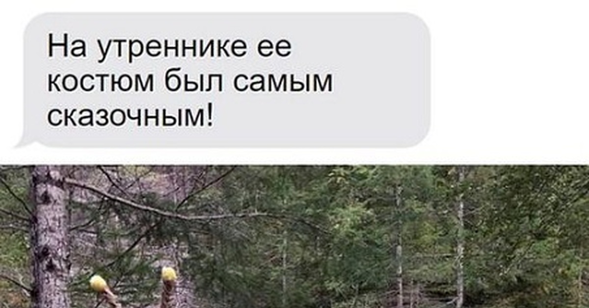 Лесная улитка | Пикабу