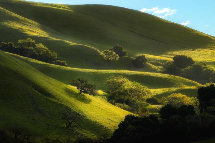 Аргентинская безмятежность