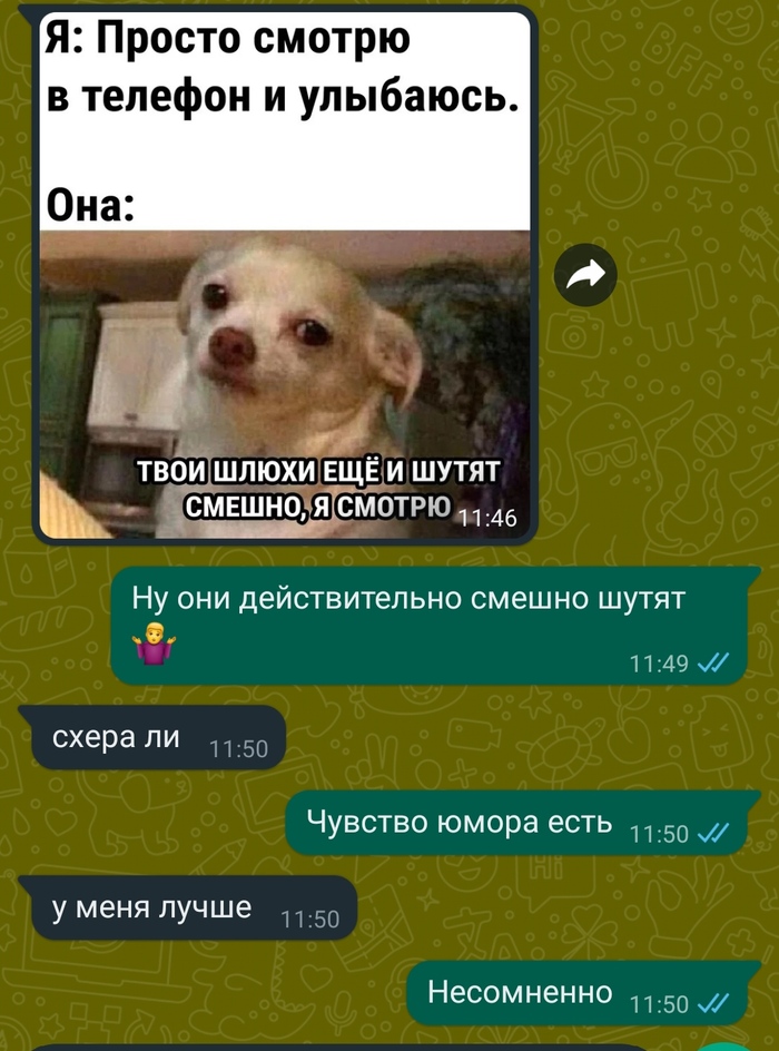 �� ������ ����