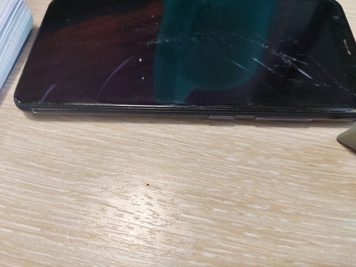 Помогите опознать насекомое