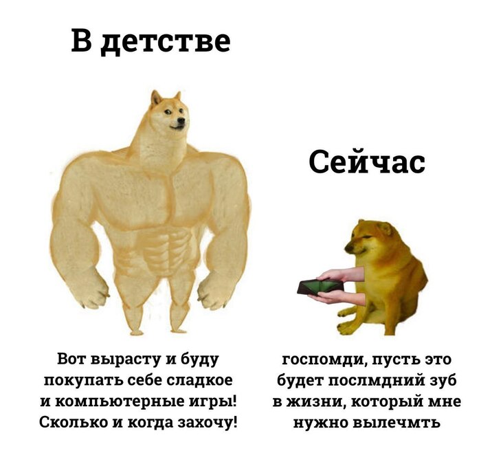  ,  ,   , , , , , , Doge