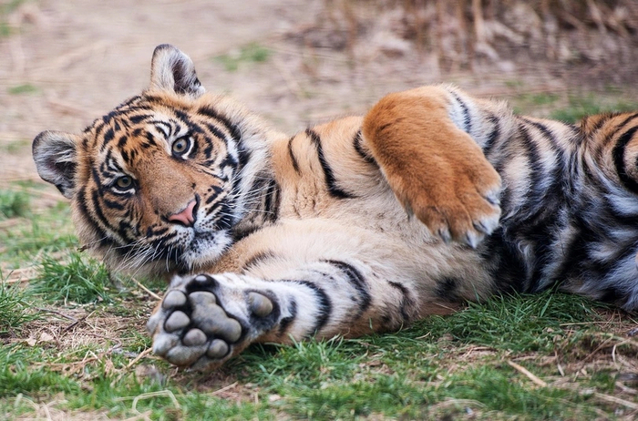     , ,  , 