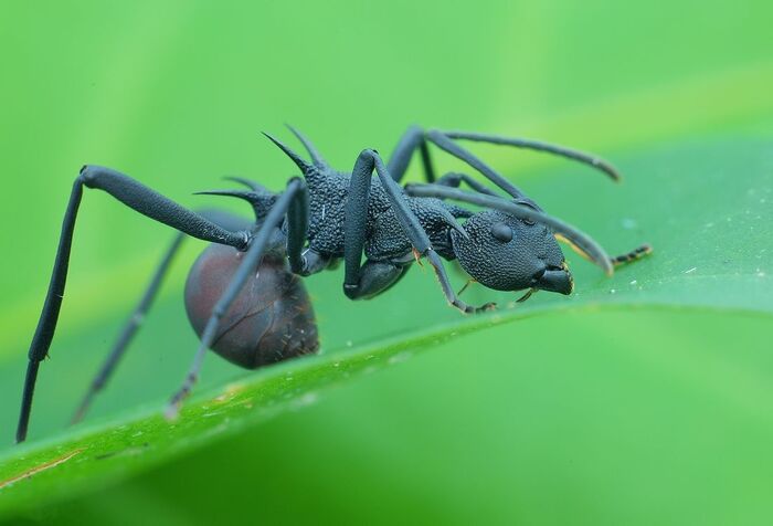 �������� ������