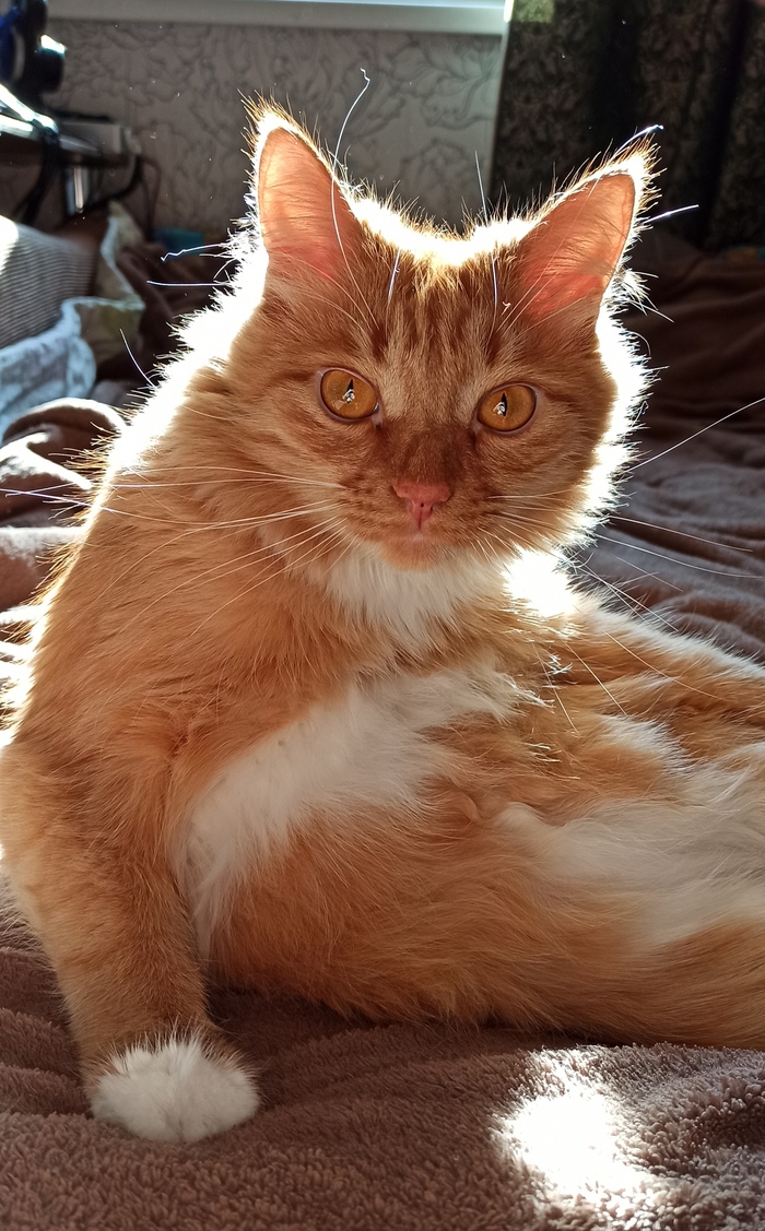 ������ �����