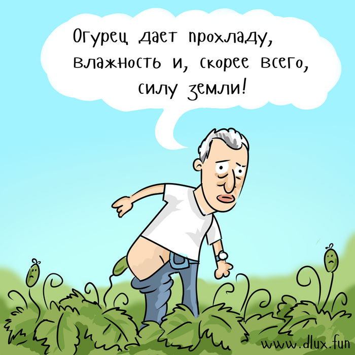 История жизни одного огурца Комиксы, Карикатура, Юмор, Веб-комикс, Авторский комикс, Жизнь, Доктор Попов, Огурцы, Судьба, Длиннопост