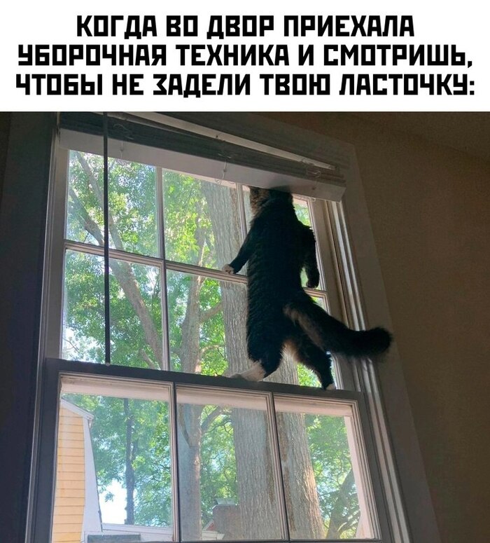   , , , 