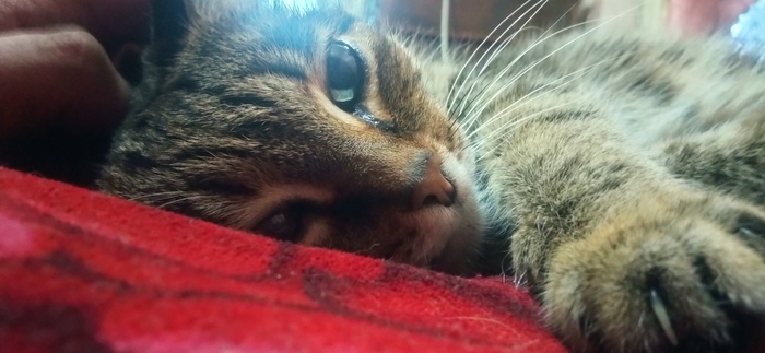    , , ,  , , 