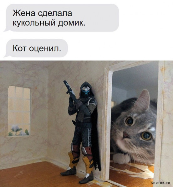   , ,   , Destiny