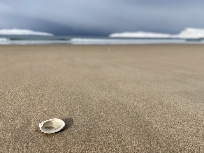 ������� �����, ������, ���� � ����������� �����. � ���� ������ ����������� ���������, � � ���?)