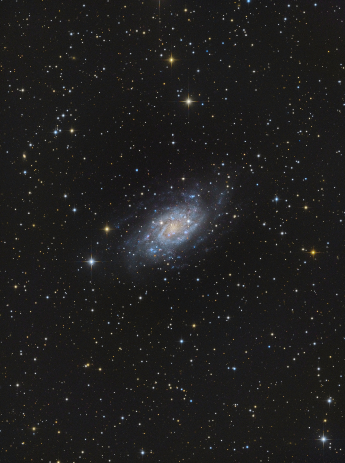   NGC2403
