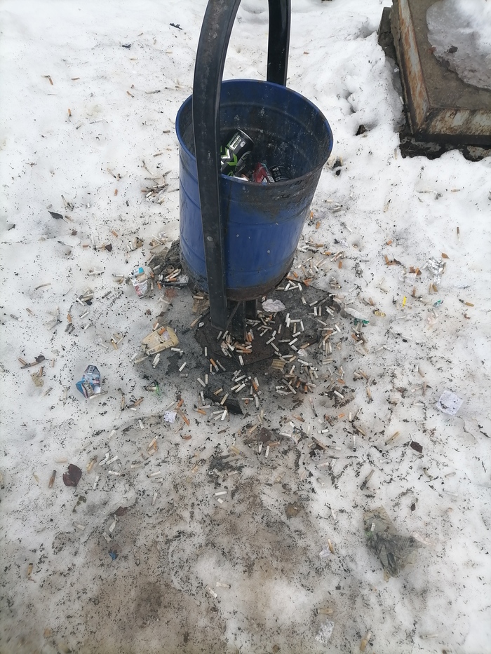 Ответ на пост «Собаки. Свиньи. Животные»