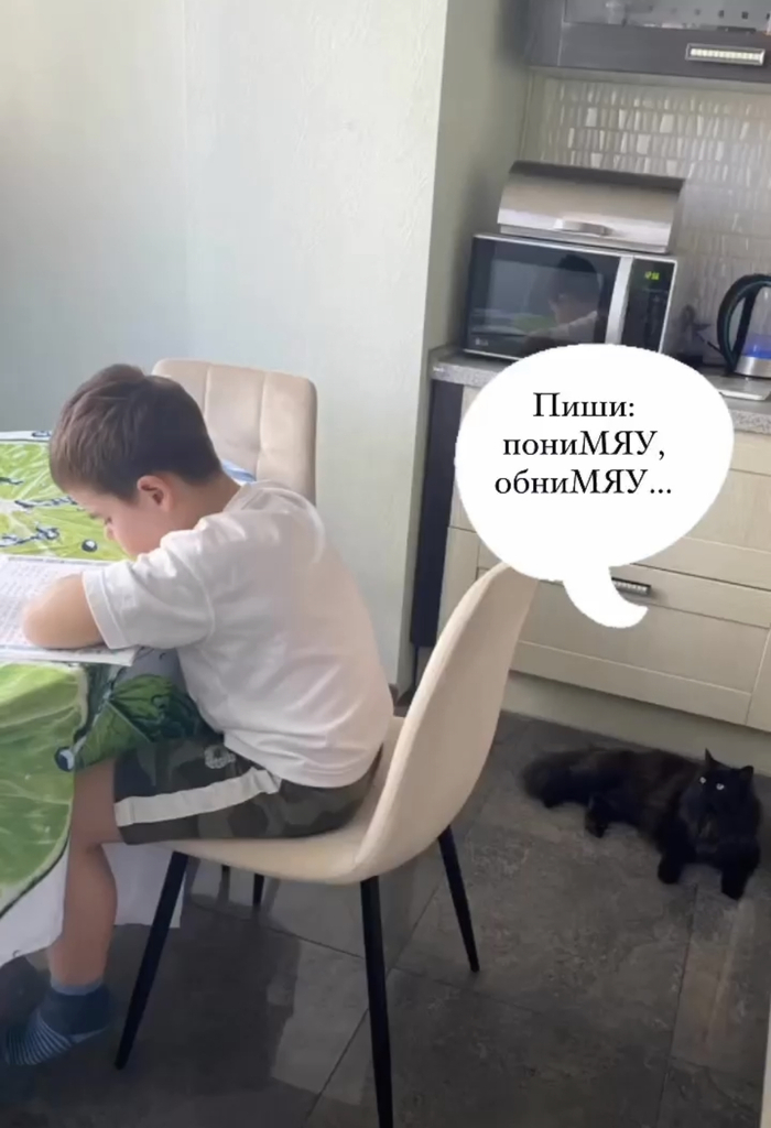 ������ ����