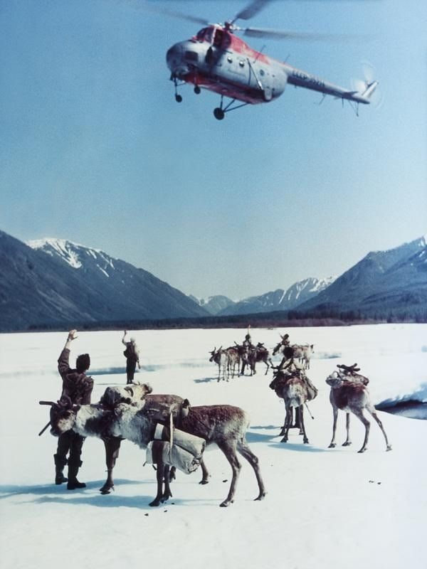 ��������� ���������� ��������� �������� � ������� ������������ ������, 1968 ���