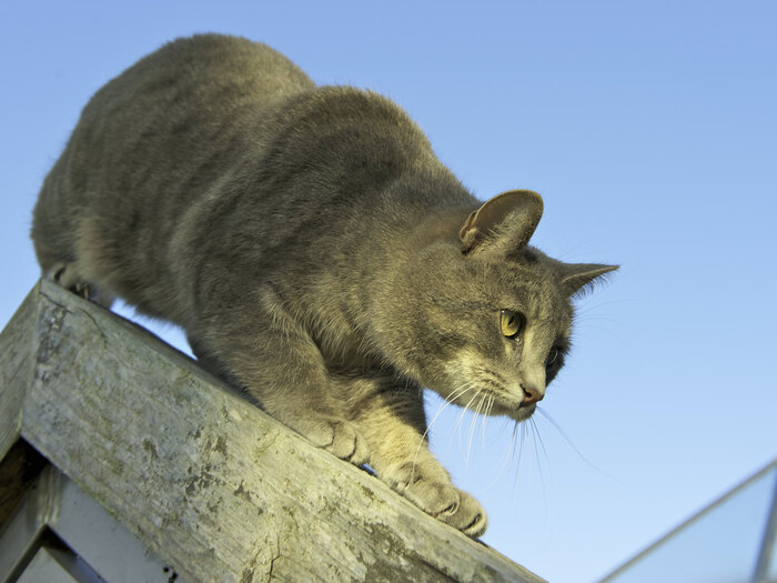 Когда видишь цель