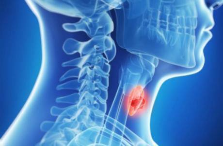 Топ продуктов для щитовидной