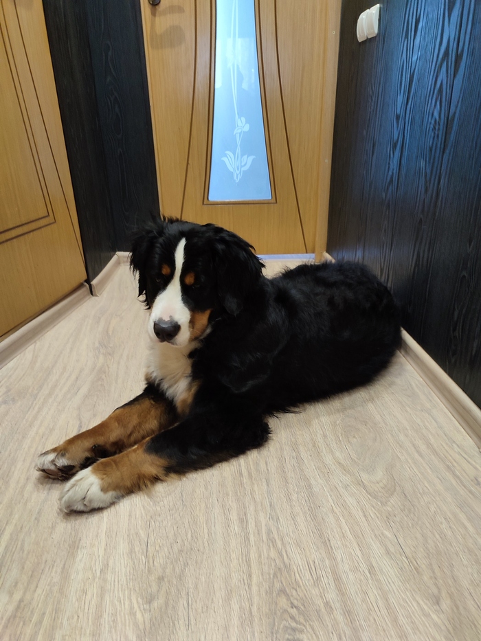 � ���� �������� ����!