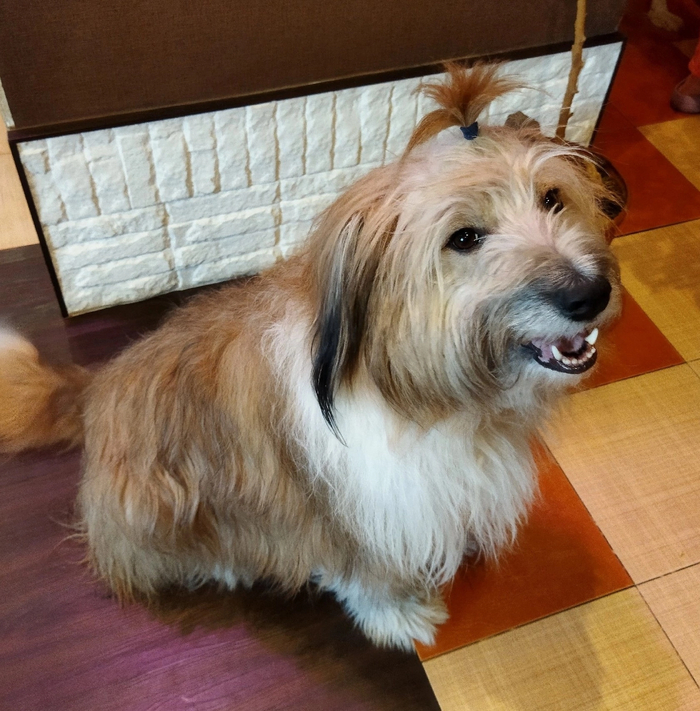 У Фроси днюха