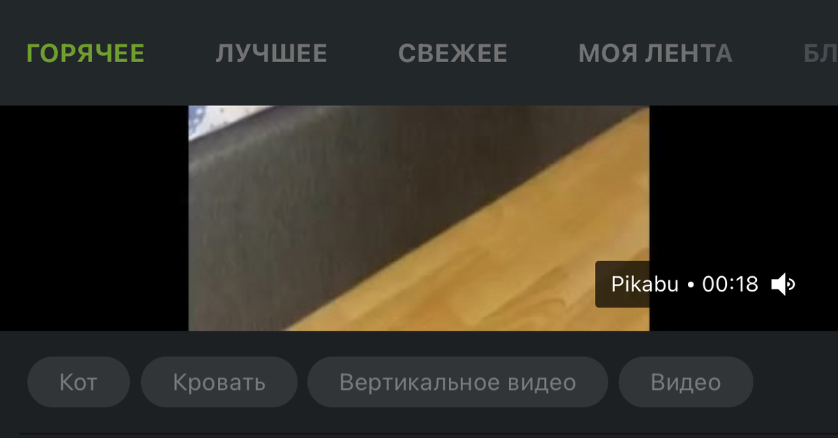 ЕбиДаЕби | Пикабу