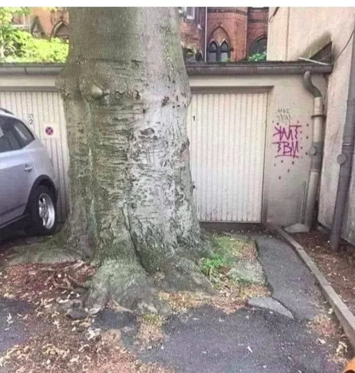 Чёта в гараже давно не был, лет 35