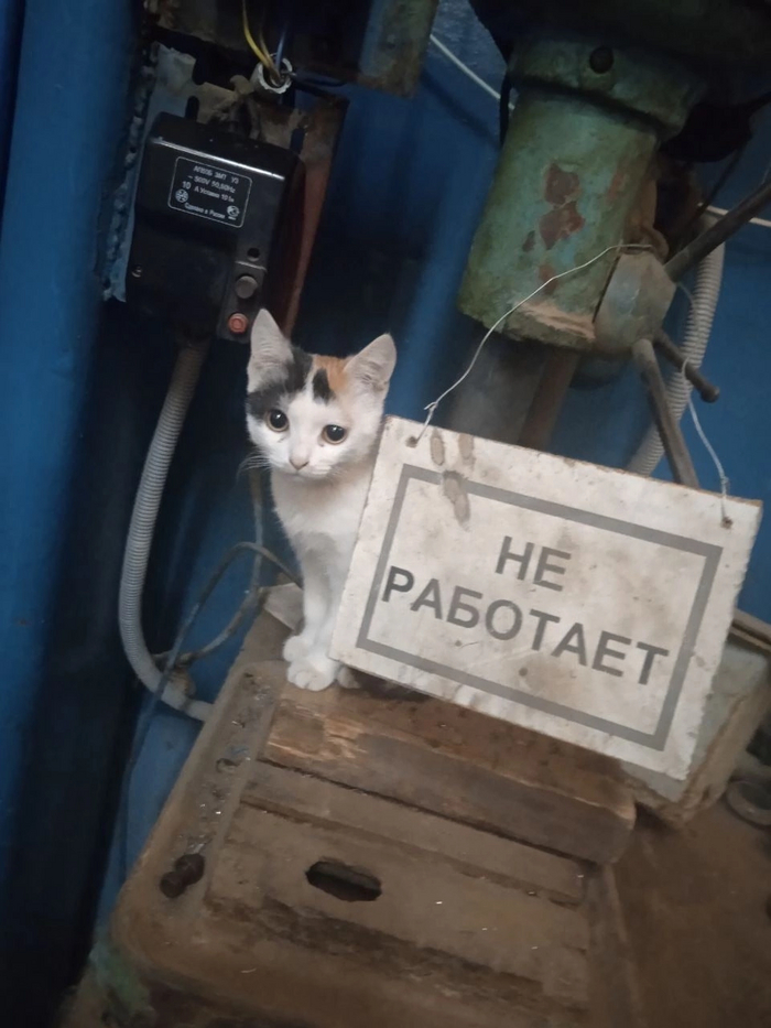  ,   ) , , , ,  , 