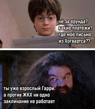 Взрослая жизнь | Пикабу