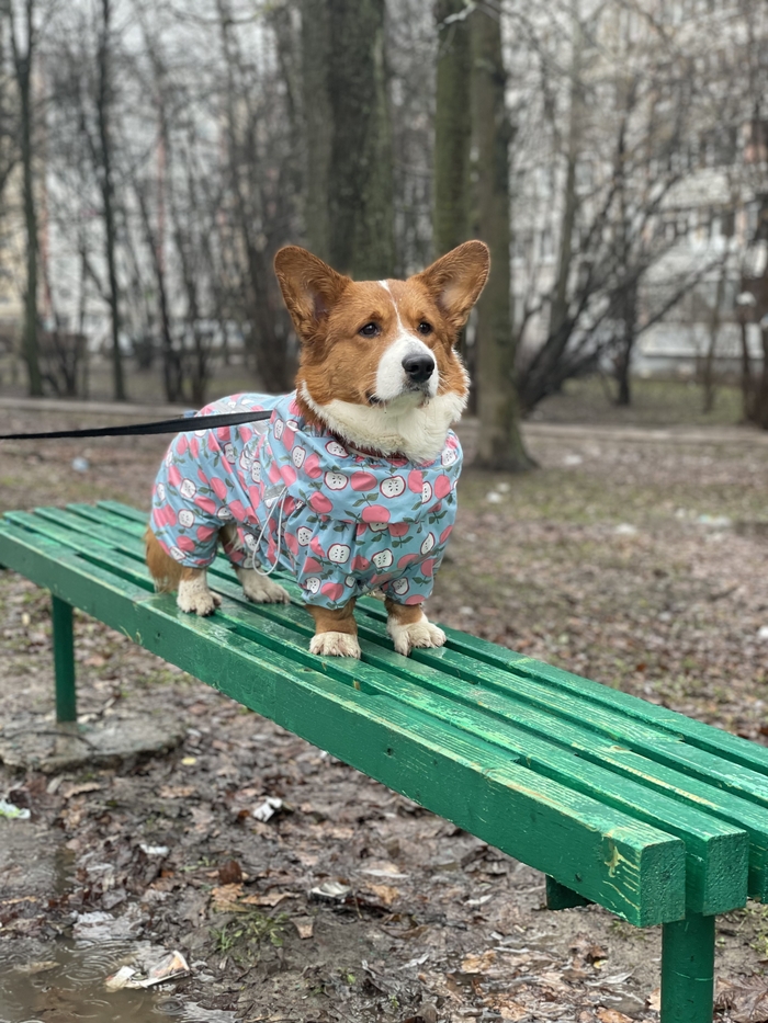 Когда ты в душе Альфа-самец, но одежду тебе подбирает мама)