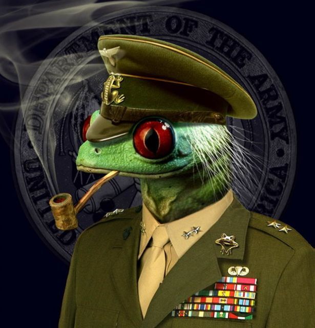 �� ����������� �����, ������!