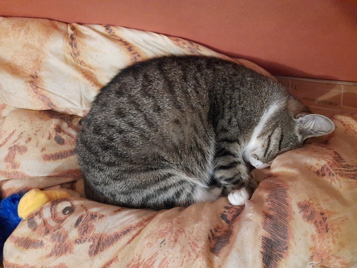 Спокойной ночи!