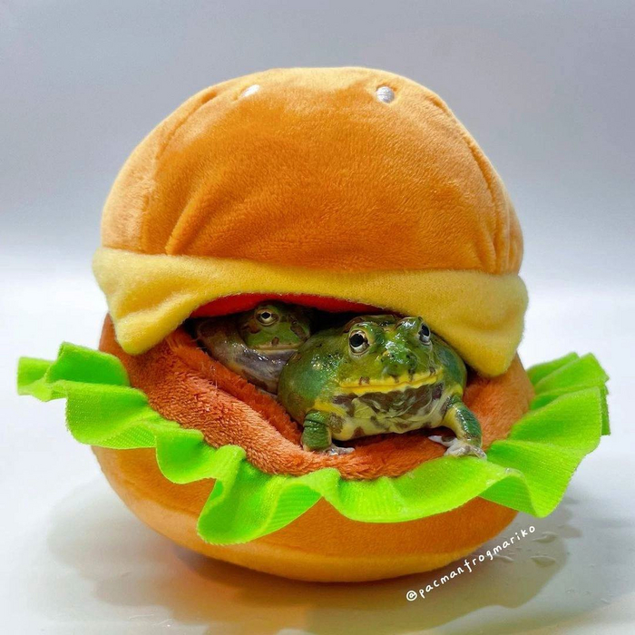 Мягкий квабургер