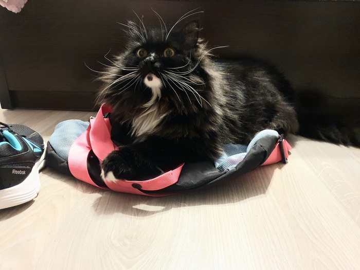 ���������� ����������