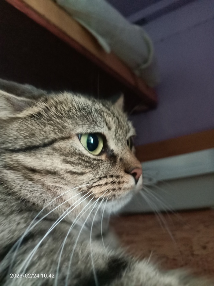 Уфьнуло... УФЬ