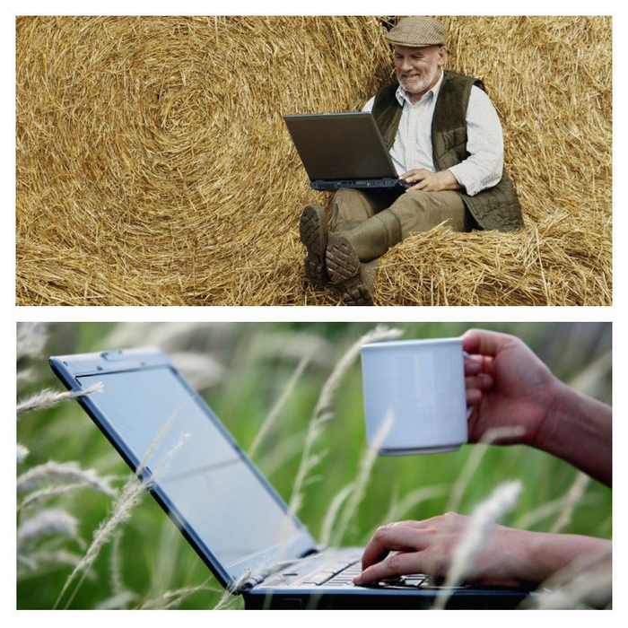 Где черпать знания по уходу за участком и по строительству? | Пикабу