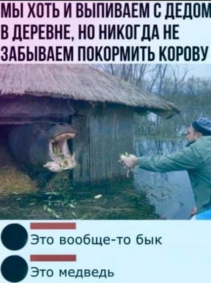 Жрёт много а молока совсем не даёт