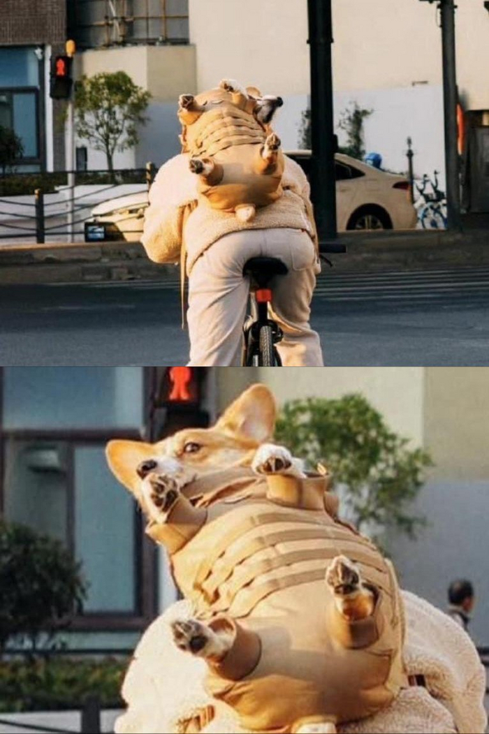    , , , , 
