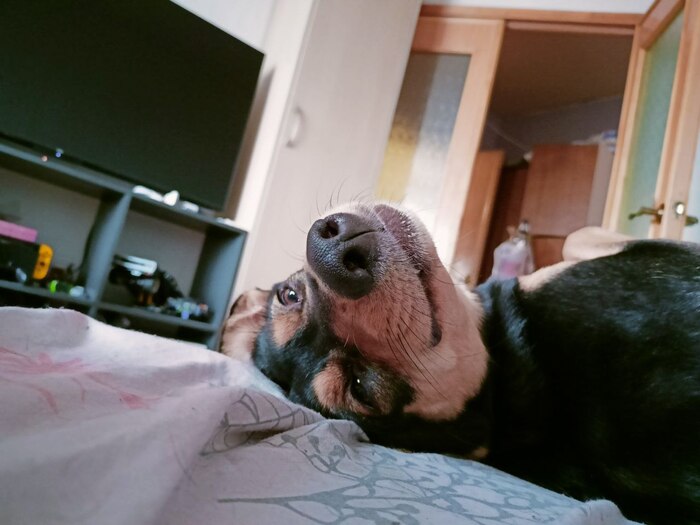 ����� � �������