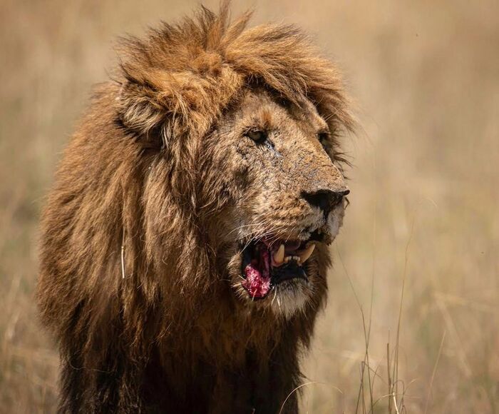 После напряженной рабочей недели