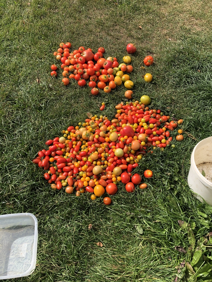 Когда потянуло к земле…