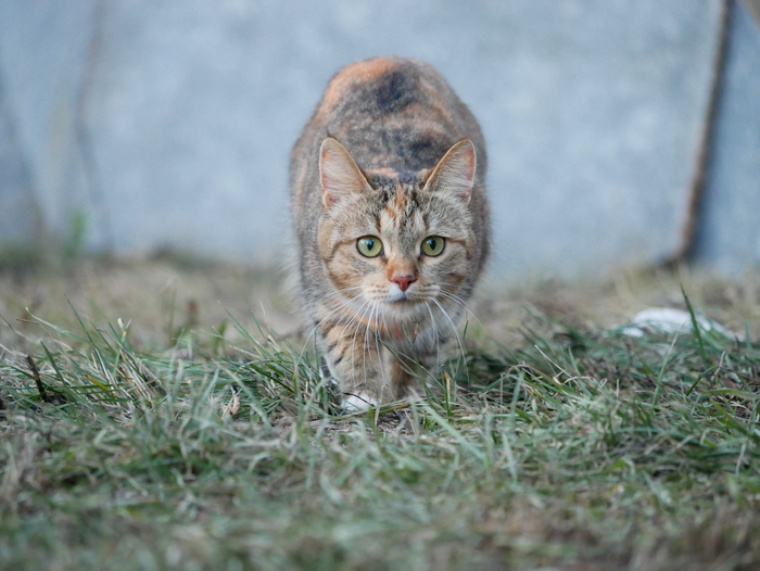 ��������