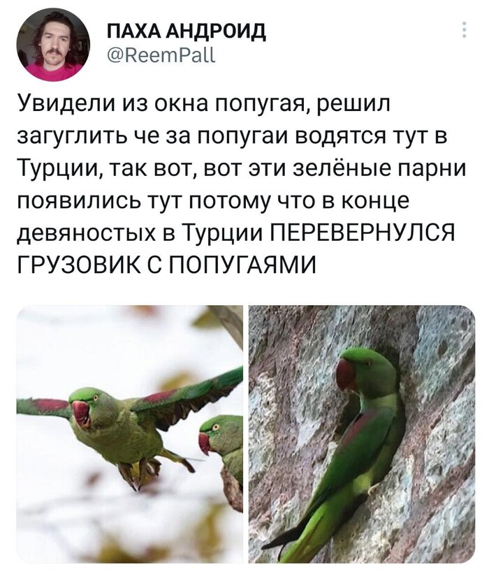 ������� ���������