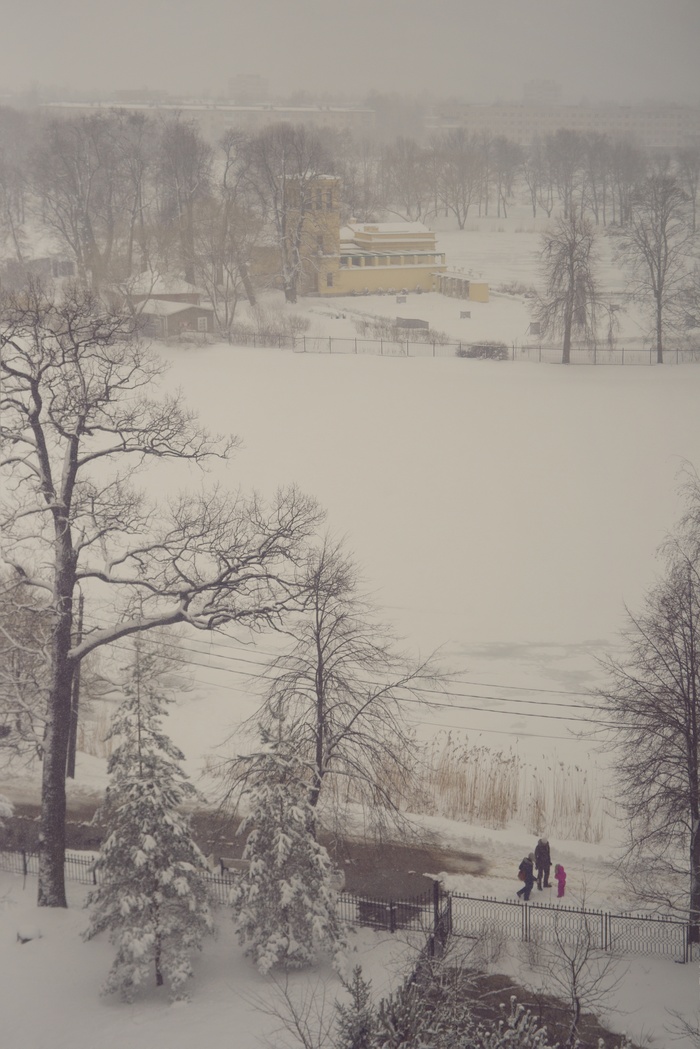        -44, , -, , , 