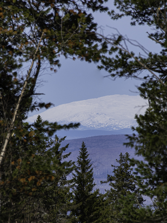 "Зеленое окно" с видом на Косьвинский Камень (1519 м.) Северный Урал