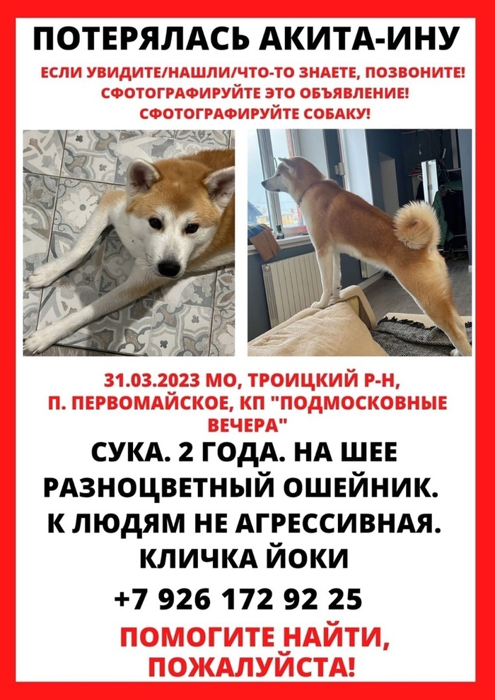 После фоток первая строка черным шрифтом. Кратко о бывшей