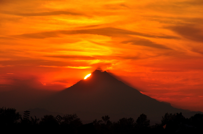 ������ ������� � ����