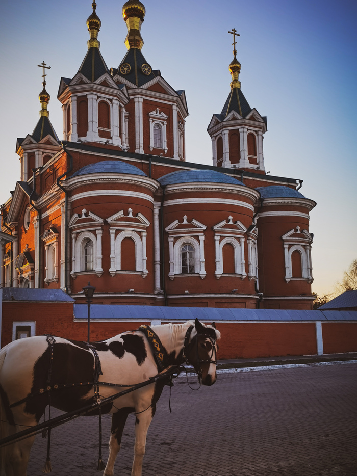 Прогулки по оке коломна