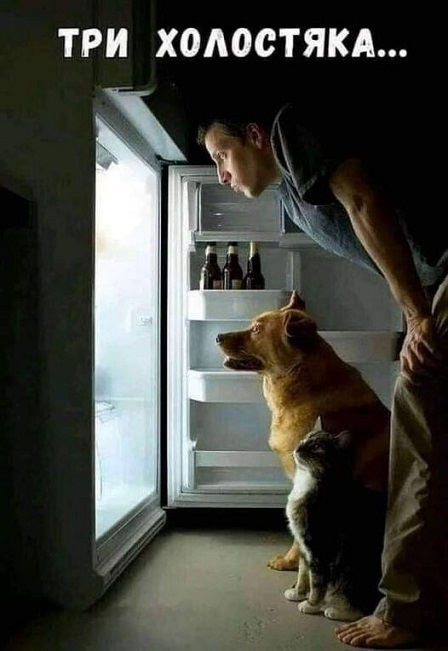 ��, ��� ��� ������ ���������?