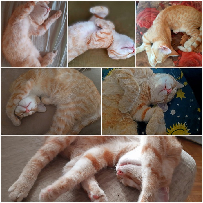 ������ ���. ������ ����